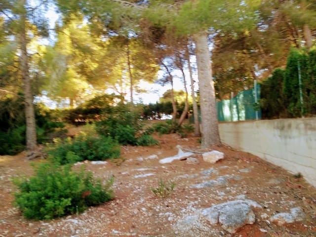 Terreno en venta en la Ribera Alta, Valencia