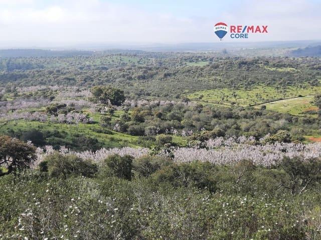 Terreno en venta en Alburquerque, Badajoz