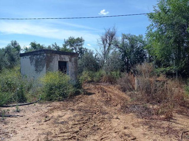 Terreno en venta en Alcalá de Guadaíra, Sevilla