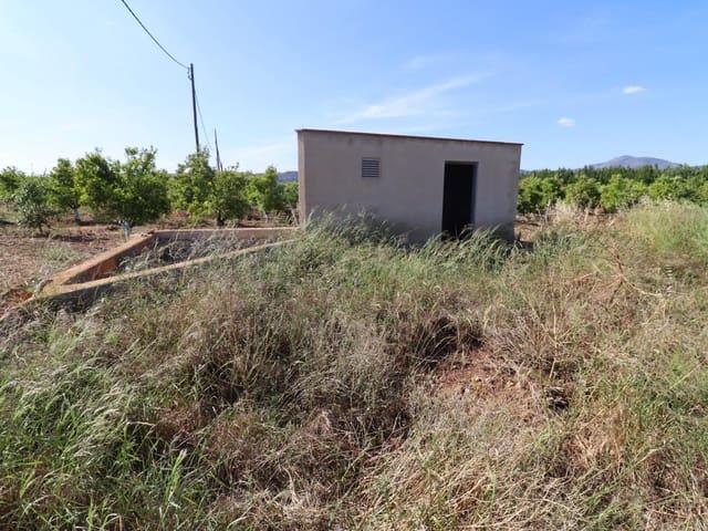 Terreno en venta en Alcanar, Tarragona