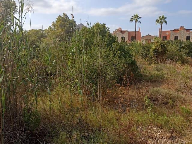 Terreno en venta en Port d'Alcúdia, Raiguer