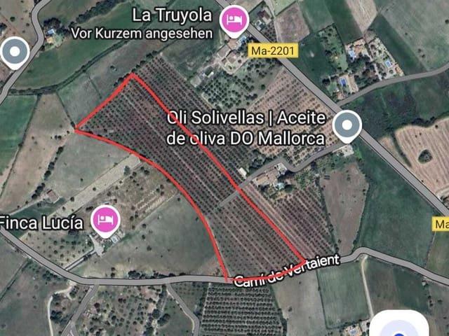 Terreno en venta en Port d'Alcúdia, Raiguer
