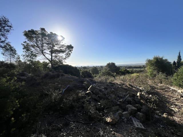 Terreno en venta en Port d'Alcúdia, Raiguer
