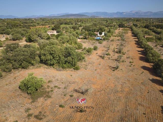 Terreno en venta en Pla de Mallorca, Baleares