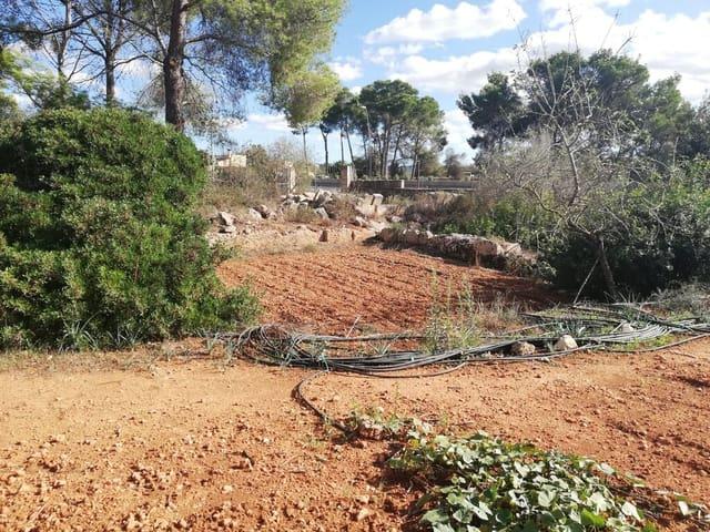 Terreno en venta en Pla de Mallorca, Baleares