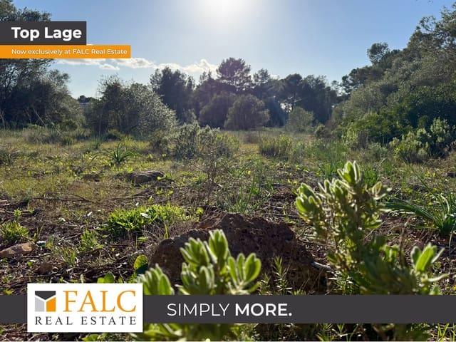 Terreno en venta en Pla de Mallorca, Baleares