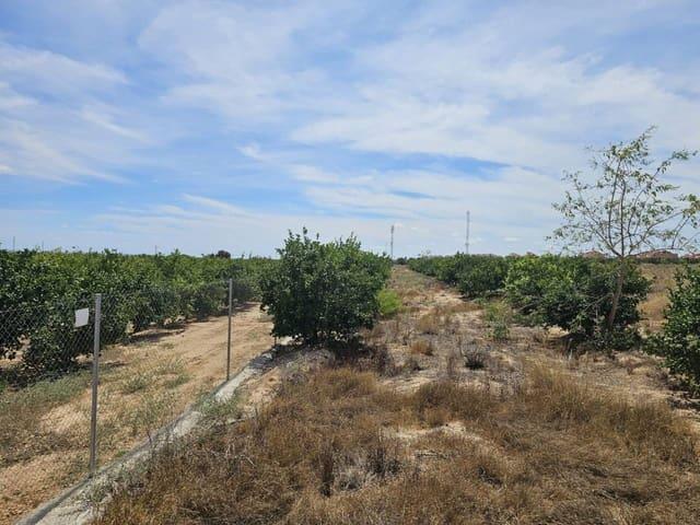 Terreno en venta en Algorfa