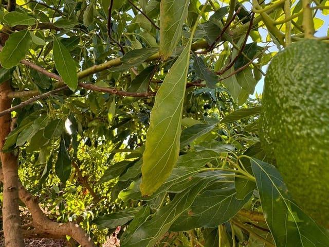 Terreno en venta en Los Tomillares, Alhaurín De La Torre