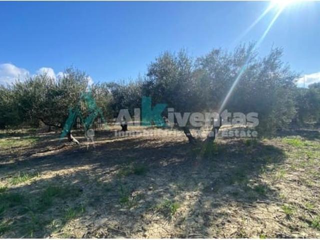 Terreno en venta en Barrio de San Antón, Valle del Guadalhorce