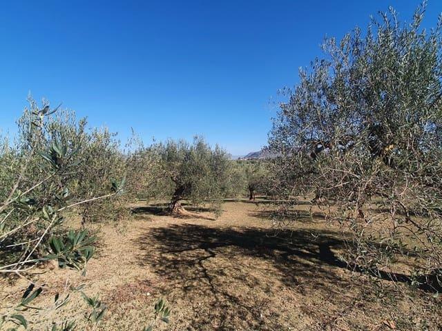 Terreno en venta en Alhaurín El Grande, Barrio de San Antón