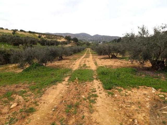 Terreno en venta en Alhaurín El Grande, Barrio de San Antón