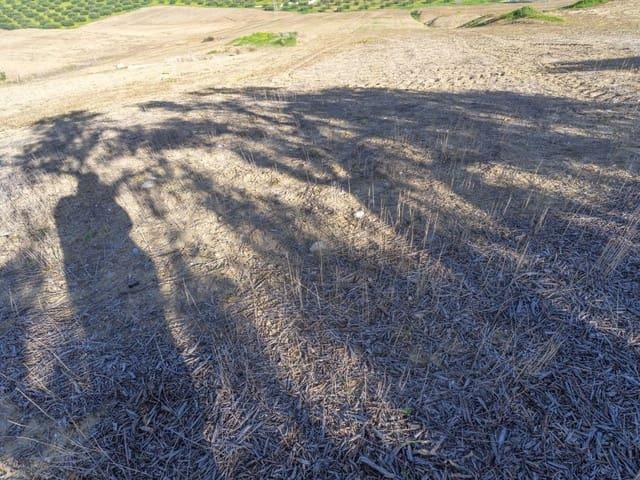 Terreno en venta en Barrio de San Antón, Valle del Guadalhorce