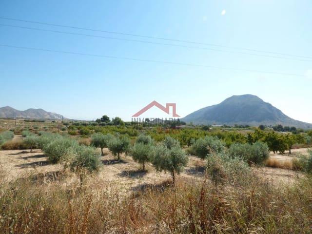 Terreno en venta en Alicante, Nostra Senyora de Gràcia Terreno en venta en Alicante, Nostra Senyora de Gràcia