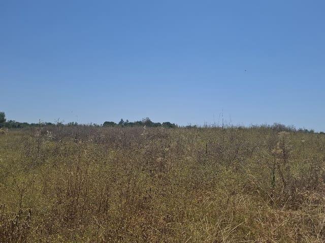 Terreno en venta en El Condado, Andalucía