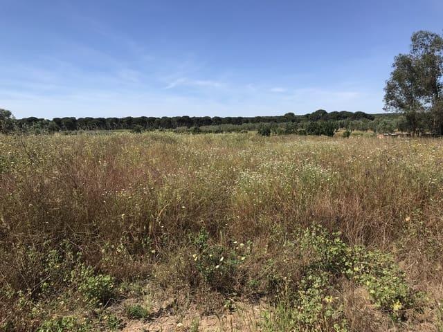 Terreno en venta en El Condado, Andalucía