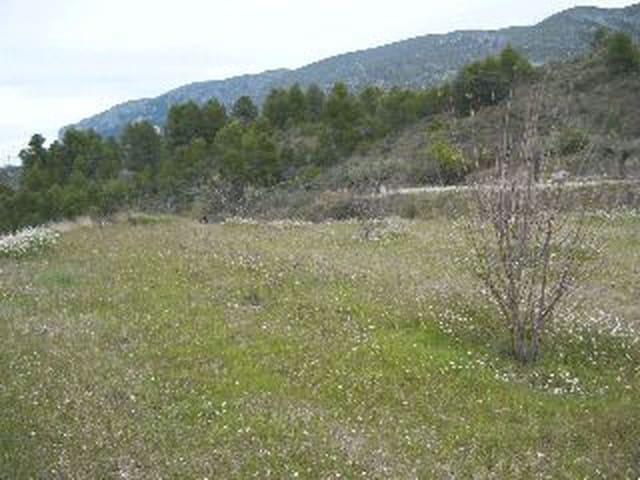Terreno en venta en el Comtat, Valencia