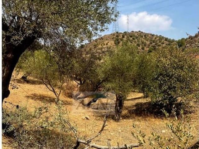 Terreno en venta en Álora, Barriada Estación