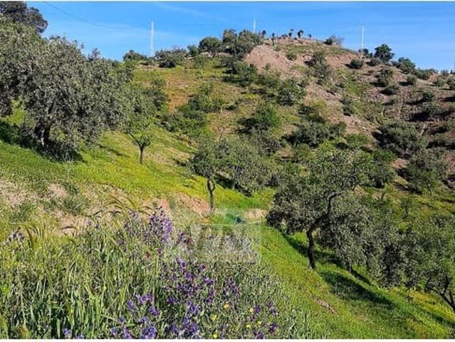 Terreno en venta en Álora, Barriada Estación Terreno en venta en Álora, Barriada Estación