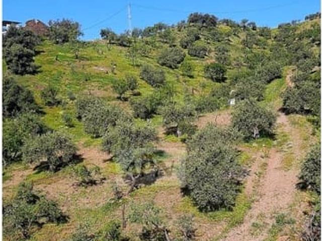 Terreno en venta en El Puente, Valle del Guadalhorce