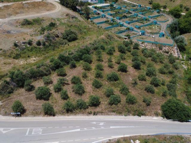 Terreno en venta en Alozaina, Málaga
