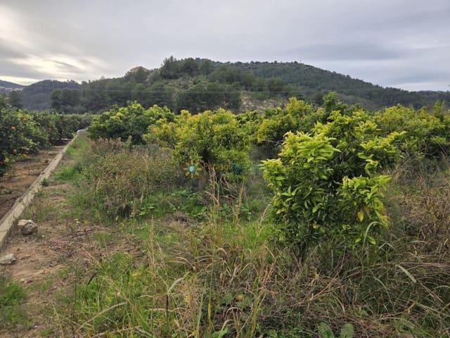 Terreno en venta en la Safor, Valencia
