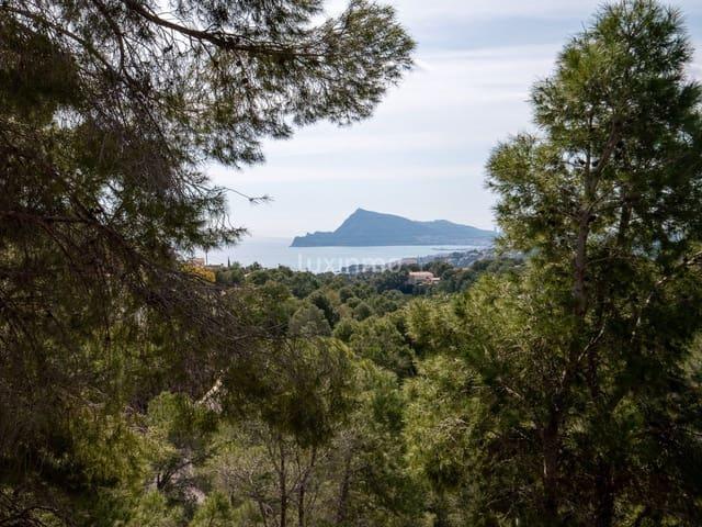Terreno en venta en la Marina Baixa, Valencia
