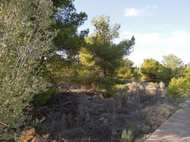 Terreno en venta en la Marina Baixa, Valencia