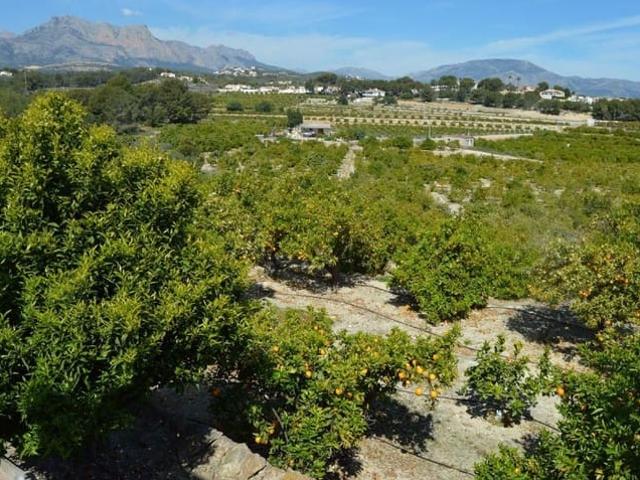 Terreno en venta en Altea, Capnegret