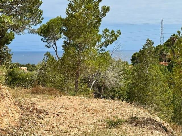 Terreno en venta en la Marina Baixa, Valencia