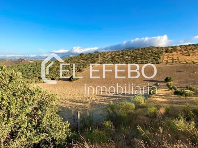 Terreno en venta en Antequera, Andalucía