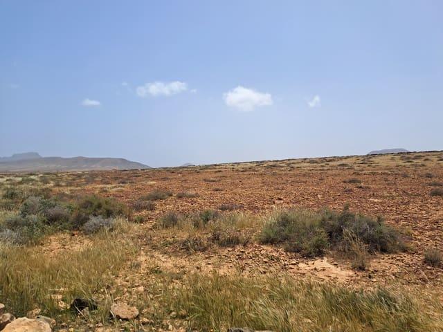 Terreno en venta en Antigua, Canarias