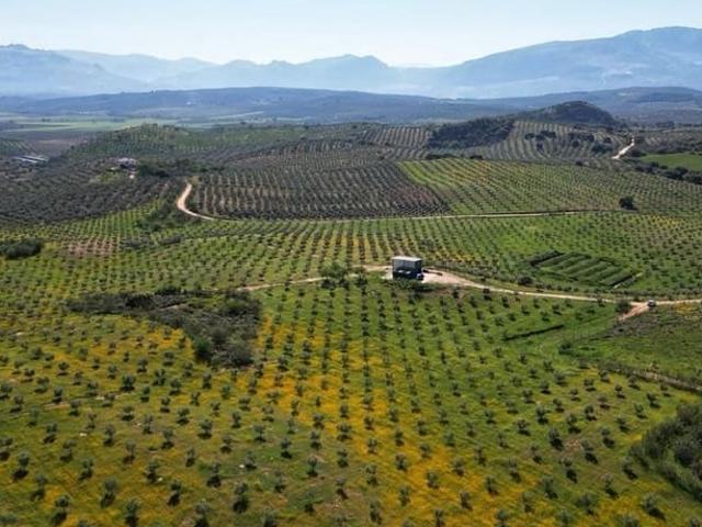 Terreno en venta en Archidona