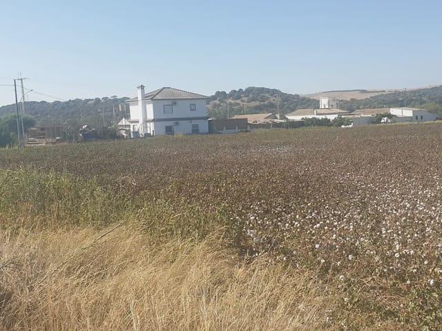 Terreno en venta en Sierra de Cádiz, Andalucía