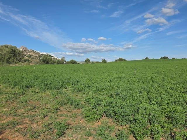 Terreno en venta en Sierra de Cádiz, Andalucía