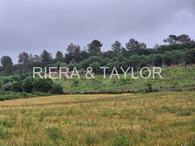 Terreno en venta en Ariany