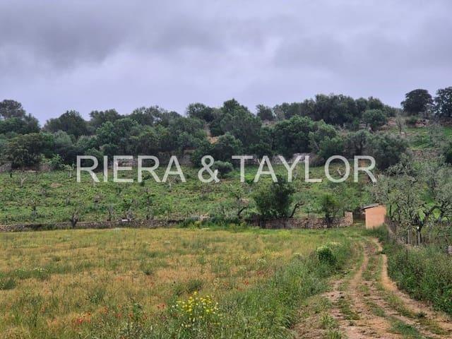 Terreno en venta en Pla de Mallorca, Baleares