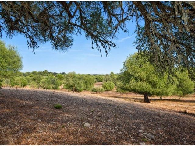 Terreno en venta en Llevant, Baleares