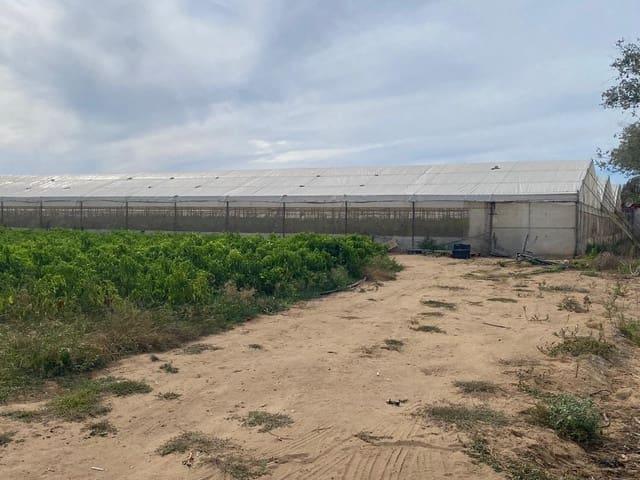 Terreno en venta en Residencial Las Pérgolas, La Janda