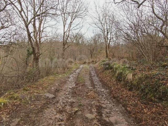 Terreno en venta en Bárcena De Pie De Concha, Cantabria