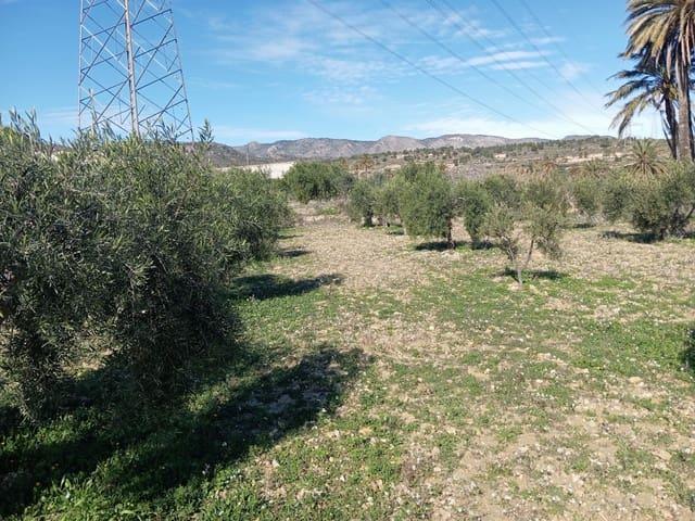 Terreno en venta en Barinas, Oriental