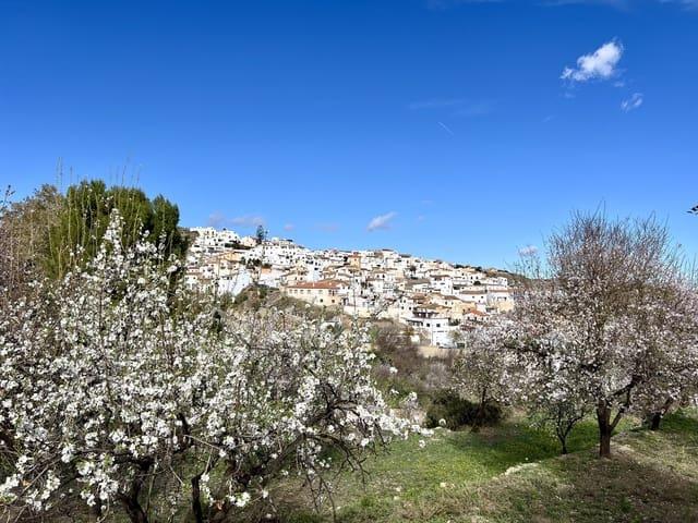 Terreno en venta en Bédar, Andalucía