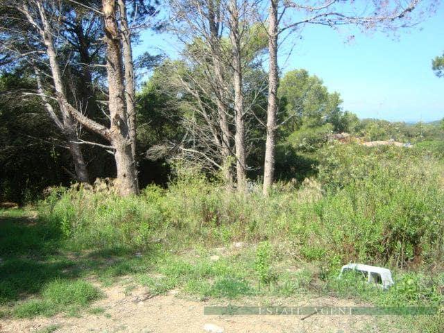 Terreno en venta en Baix Empordà, Catalunya