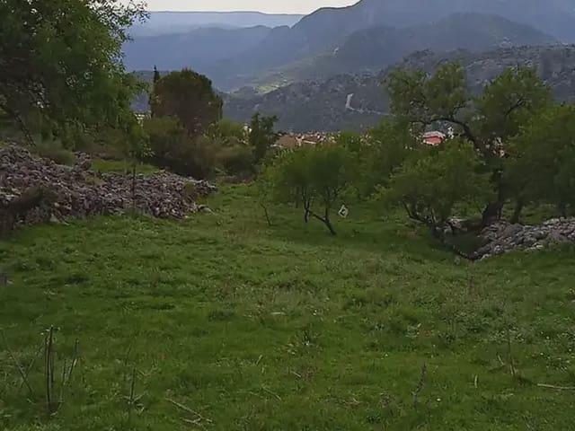 Terreno en venta en Sierra de Cádiz, Andalucía