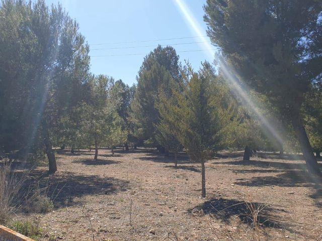 Terreno en venta en Beneixama, Alacant / Alicante