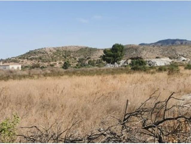 Terreno en venta en el Baix Segura / La Vega Baja, Valencia
