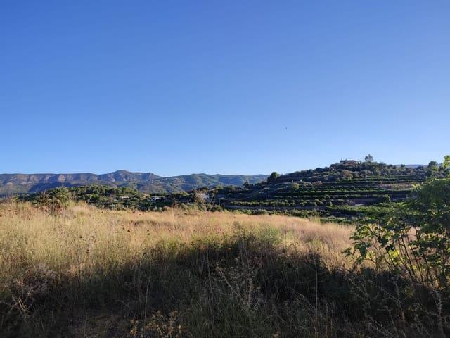 Terreno en venta en Beniarbeig