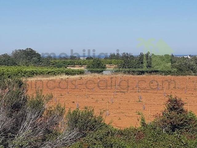Terreno en venta en el Baix Maestrat, Valencia