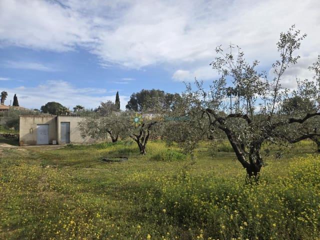Terreno en venta en la Vall d'Albaida, Valencia