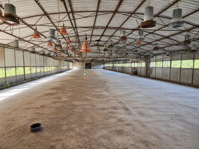 Terreno en venta en la Vall d'Albaida, Valencia