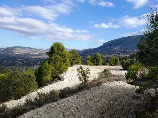 Terreno en venta en el Comtat, Valencia